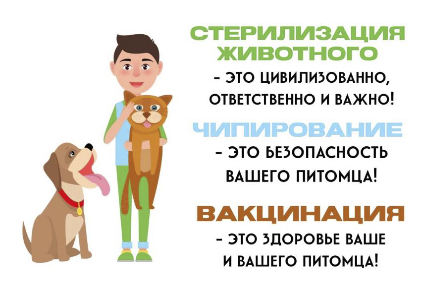 Ответственное обращение с животными.