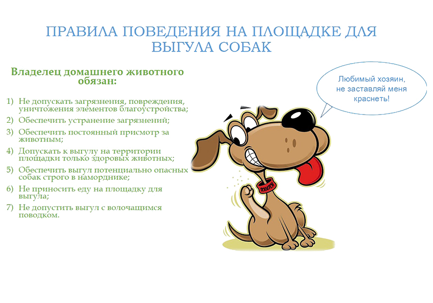 Правила поведения на площадке для выгула собак.
