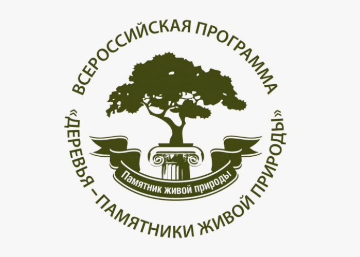 Стартовал Всероссийский конкурс «Российское дерево года - 2024».