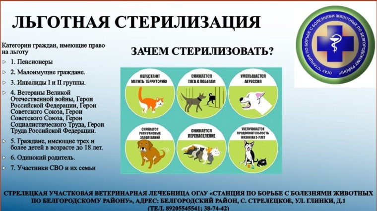 Льготная стерилизация домашних животных.